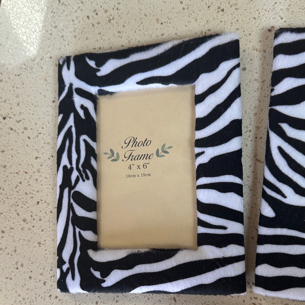 Zebra Print Photo Frame Set - Picture 2 of 5